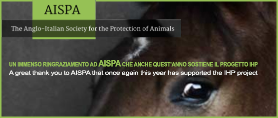 logo AISPA
